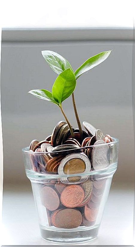 Plant growing between coins