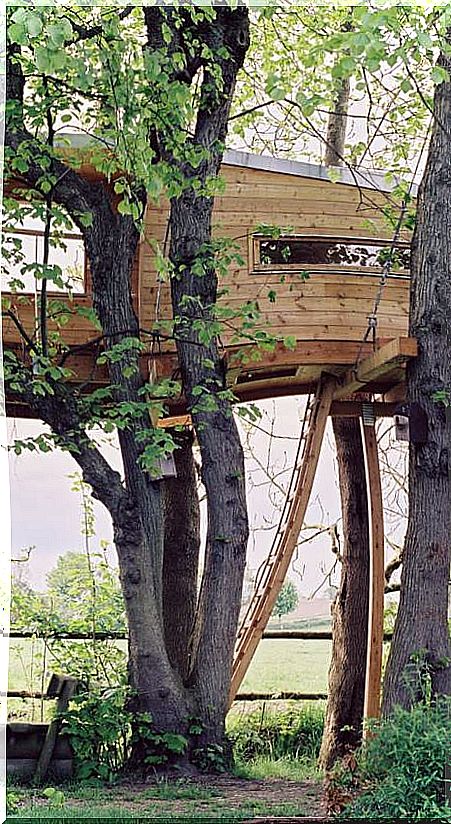 tree houses