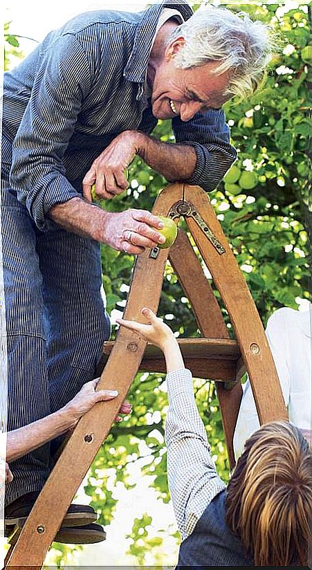 Grandfather climbed on a ladder and family laughing